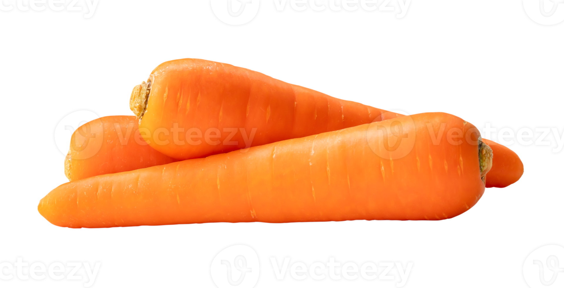 Fresh orange carrots in stack isolated with clipping path in png file format Close up of healthy vegetable root