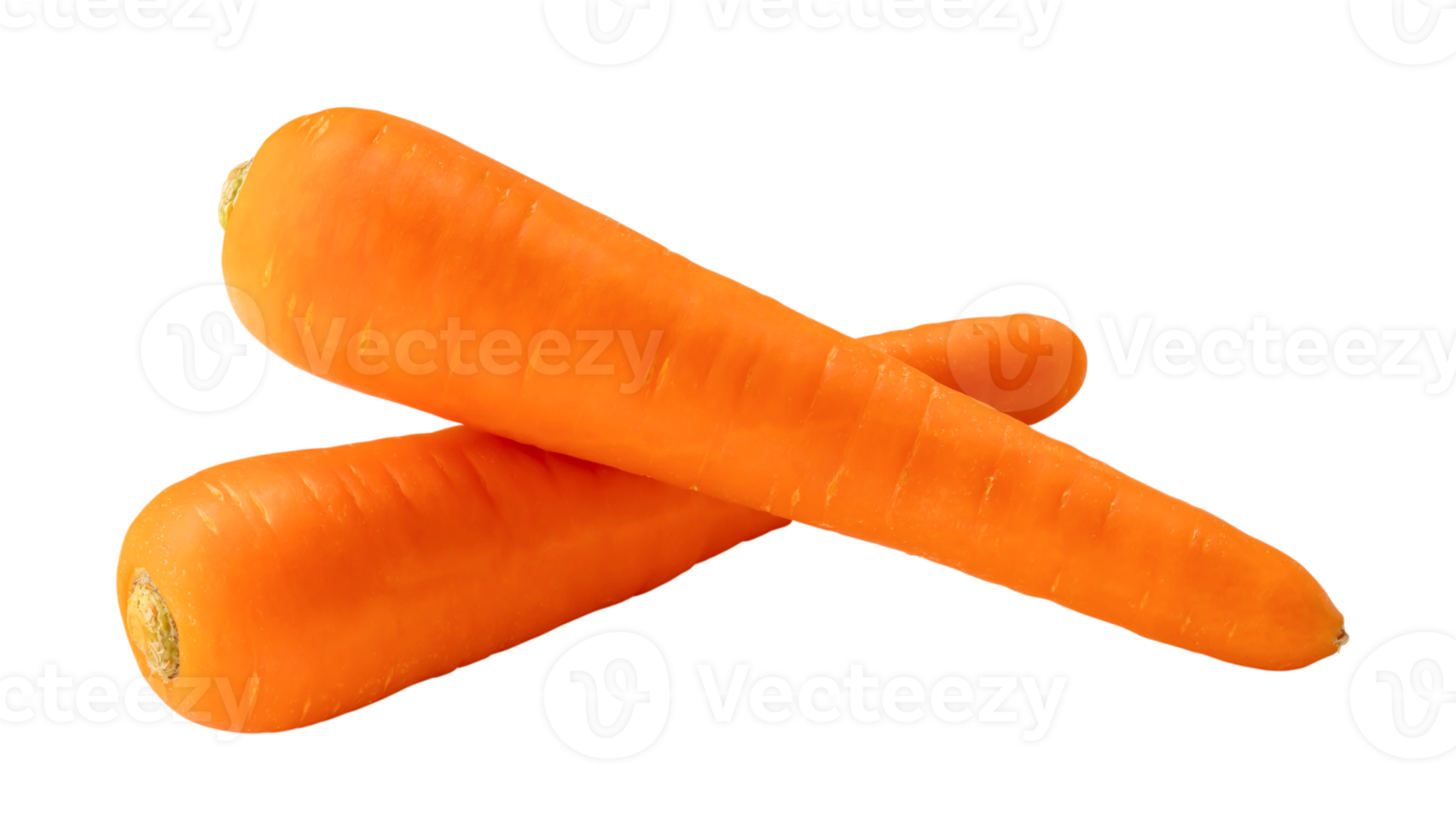 Fresh orange carrots in stack isolated with clipping path in png file format Close up of healthy vegetable root