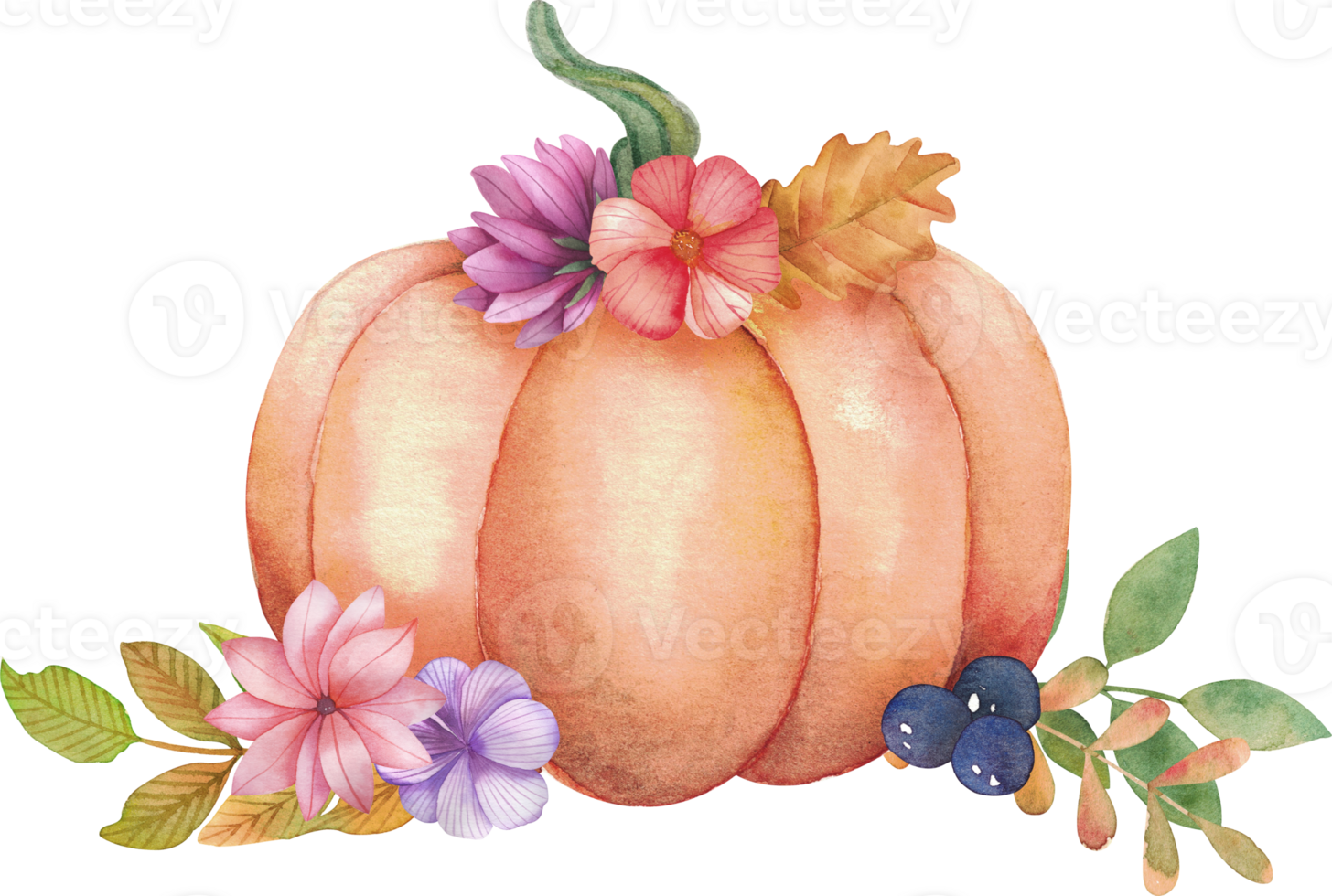 Fall botanical illustration with pumpkin and autumn flowers. Hand drawing floral design elements set. Flowers and green leaves. Perfect for wedding invitations, greeting cards and more png