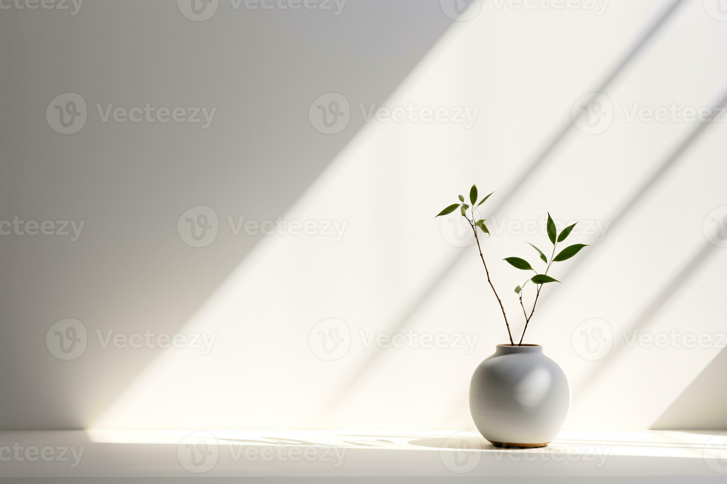 The essence of minimalism illuminated by natural light highlighting the 