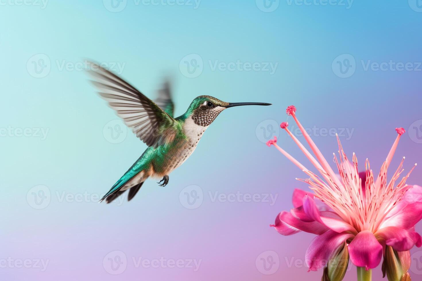 Minimalist capture of a hummingbird mid-flight sipping nectar from an exotic flower photo