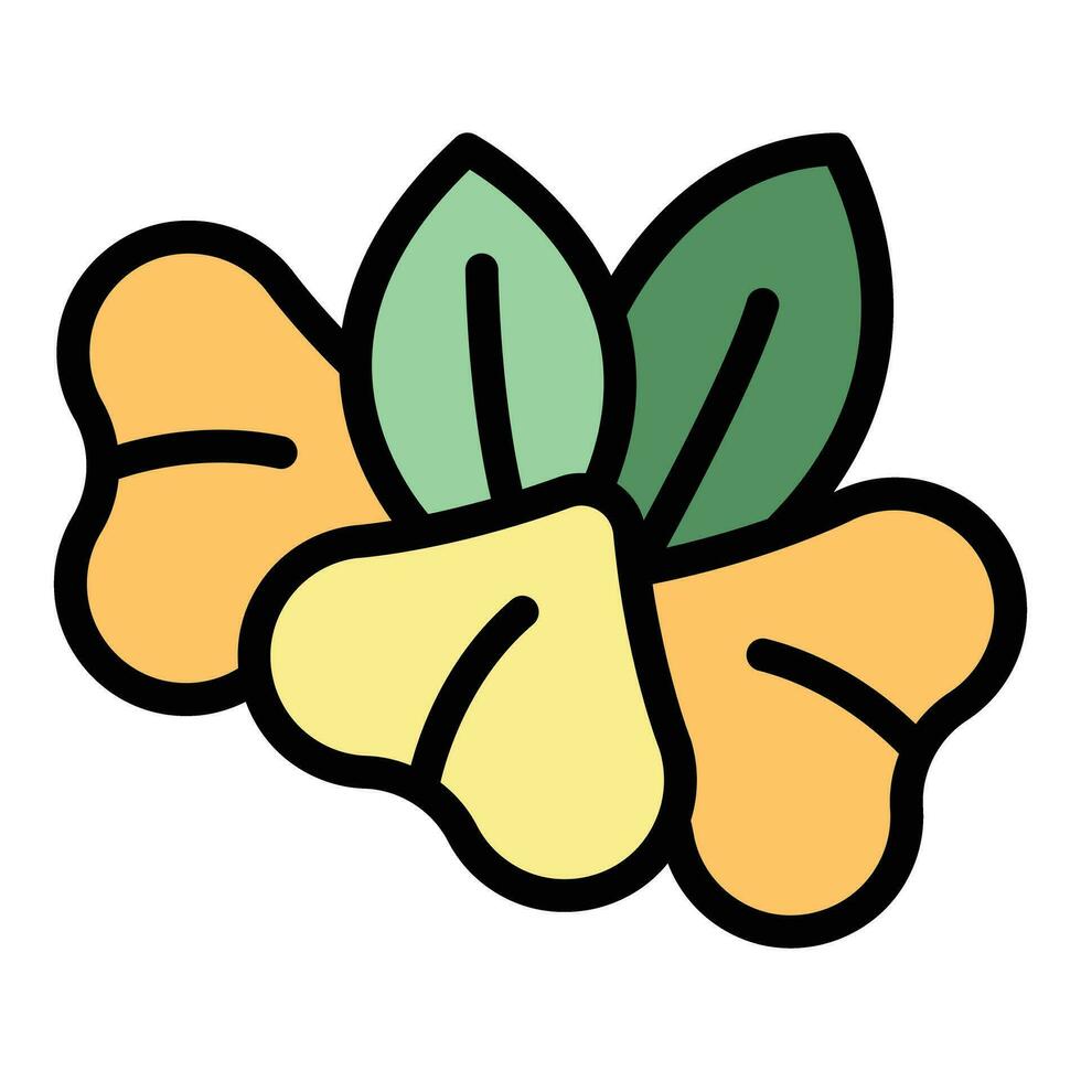 Botanical buckwheat icon vector flat