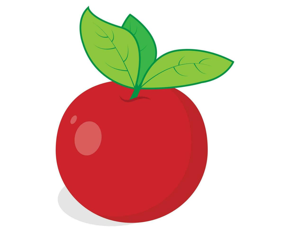 Red Cherry with Green Leaves vector