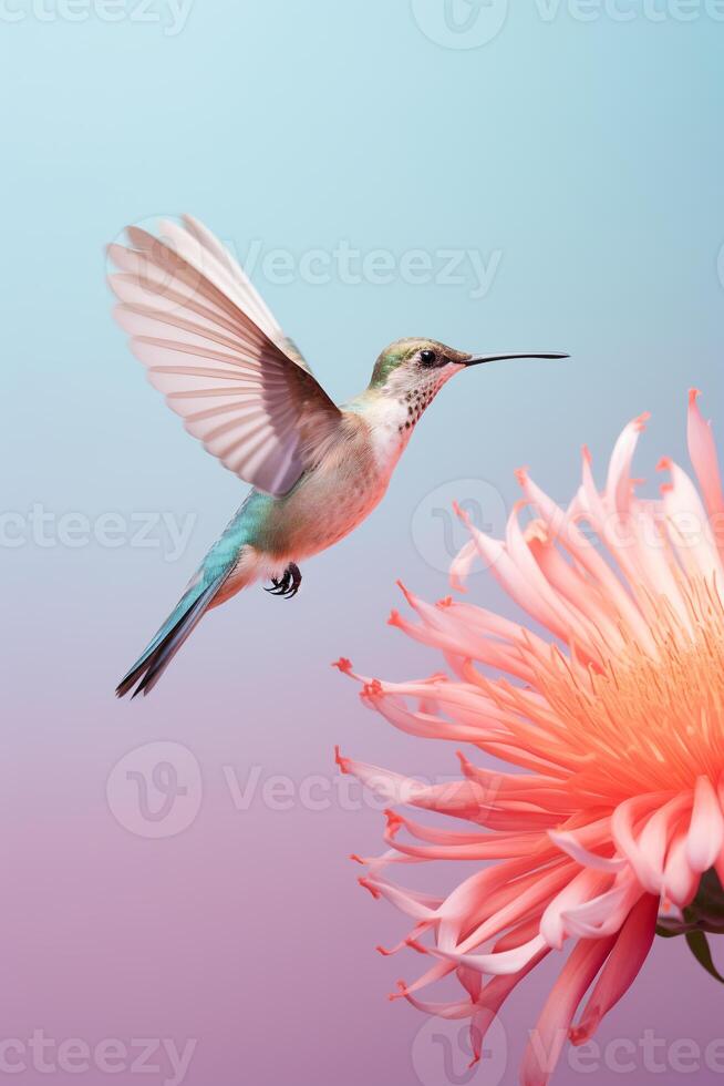 Minimalist capture of a hummingbird mid-flight sipping nectar from an exotic flower photo