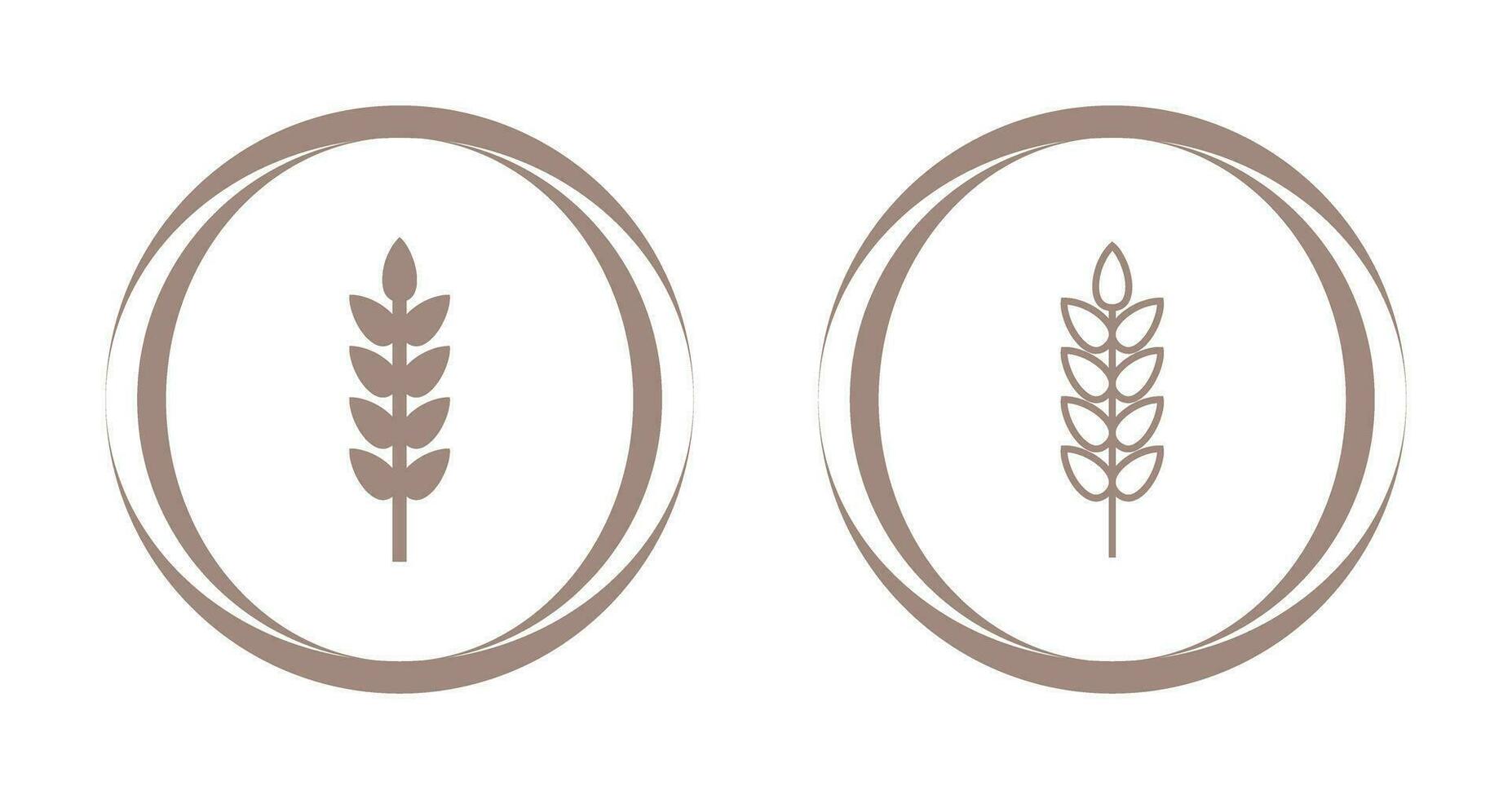 Wheat Vector Icon