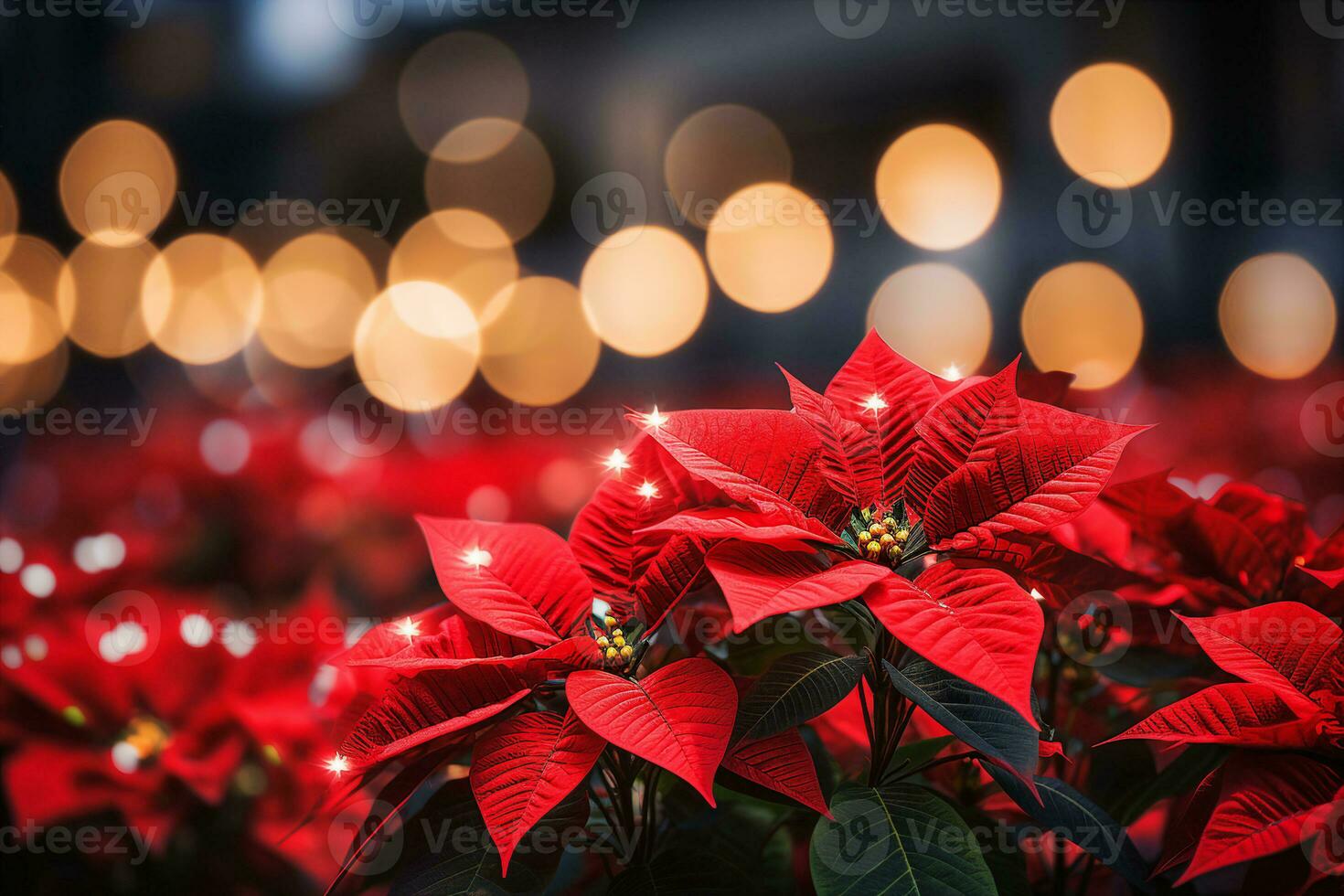 un rojo flor de pascua planta, suave Navidad luces en antecedentes. fiesta temporada concepto, festivo atmósfera. ai generado. foto