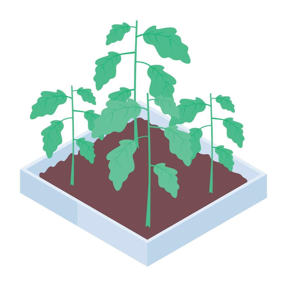 Check out plant hydroponics isometric icon vector