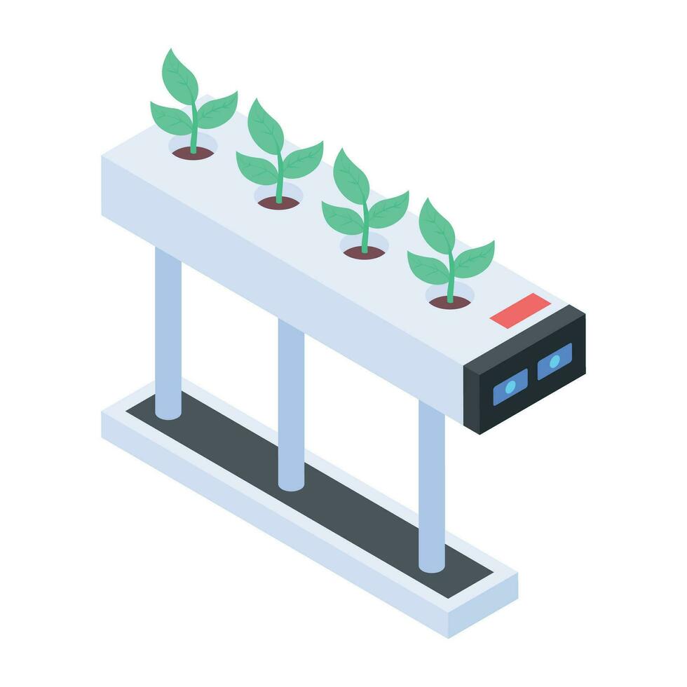 cheque fuera planta hidroponia isométrica icono vector