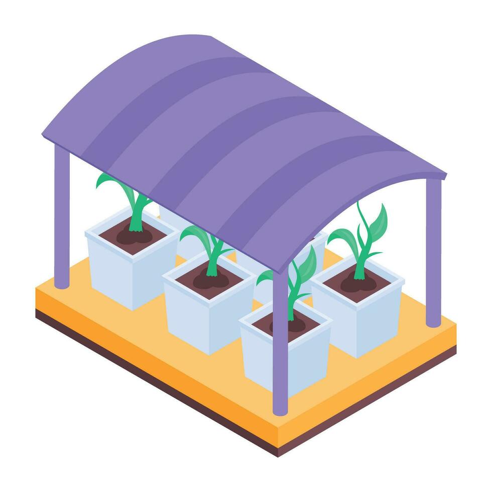 Check out plant hydroponics isometric icon vector
