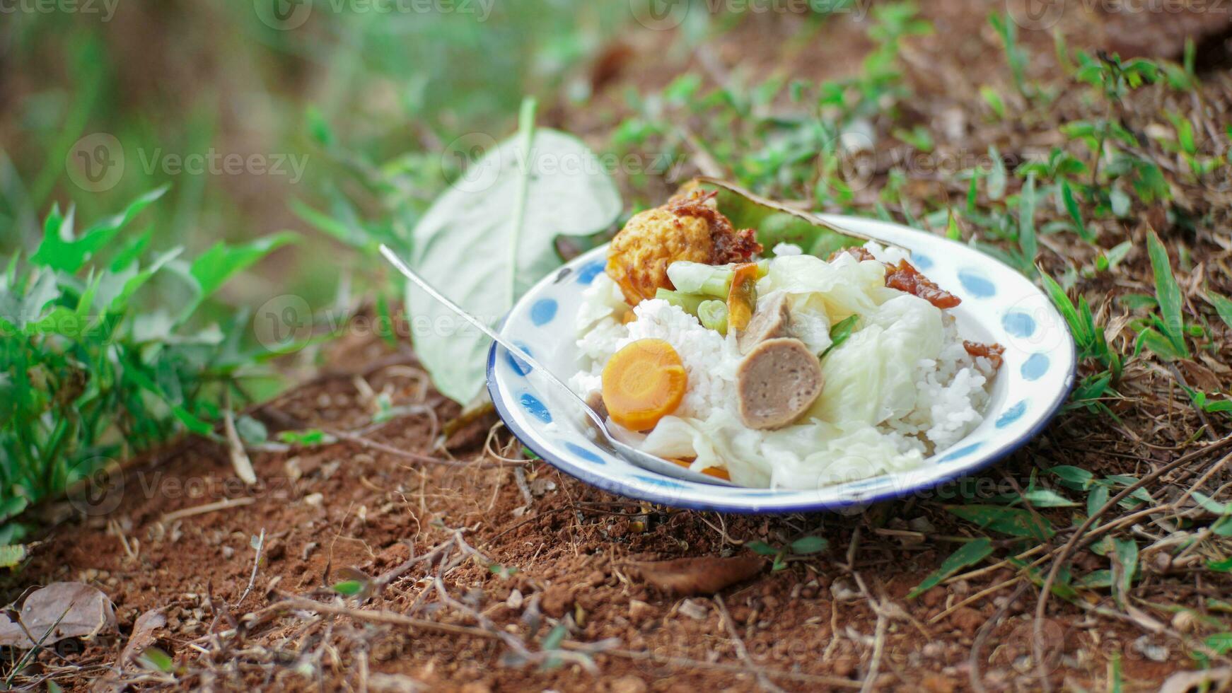 Traditional Indonesian farmer lunch menu in the rice fields. Rice with meatballs and vegetables in a plate on the ground. photo