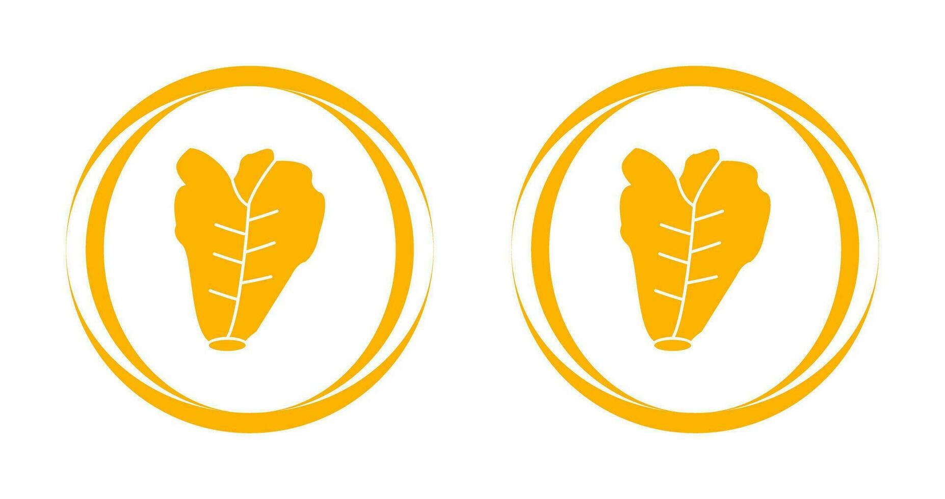Lettuce Vector Icon