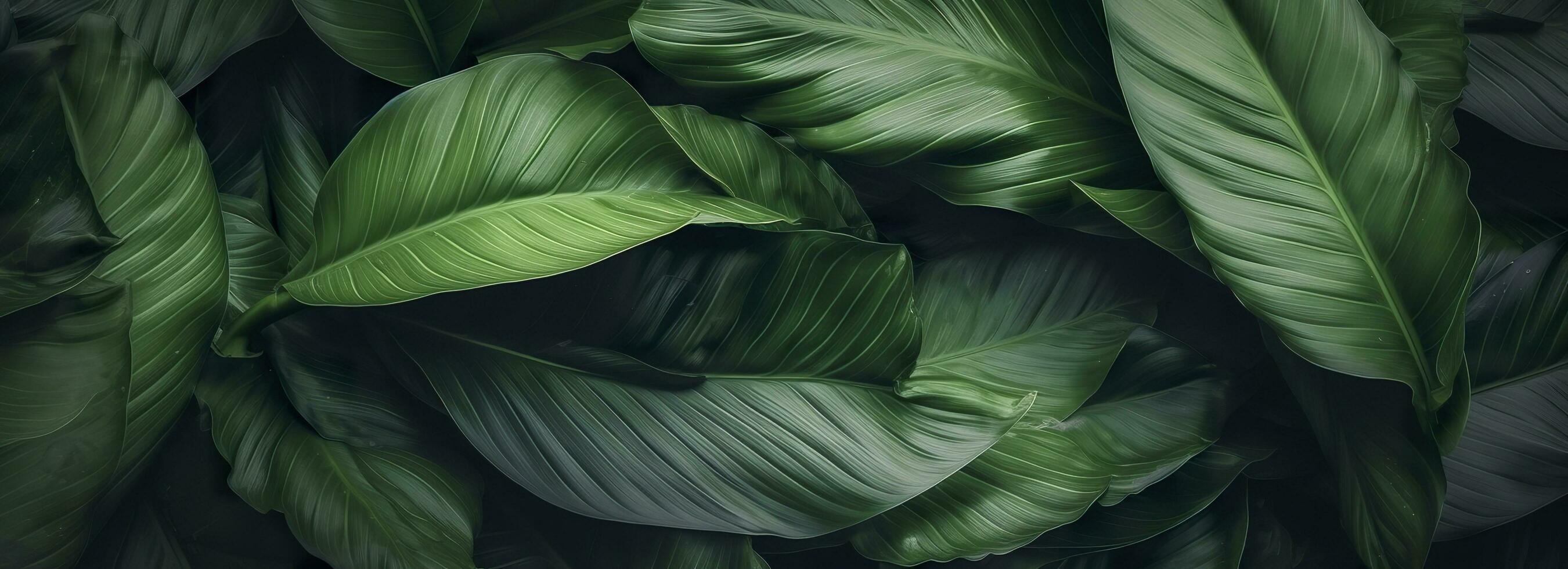 Abstract green leaf texture with nature background, tropical leaf. Generative AI photo