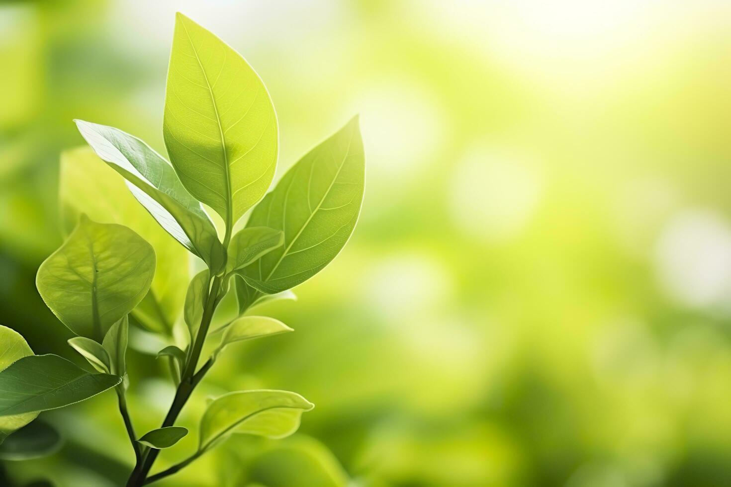Nature of green leaf in a garden in summer under sunlight. Spring background. AI Generated photo