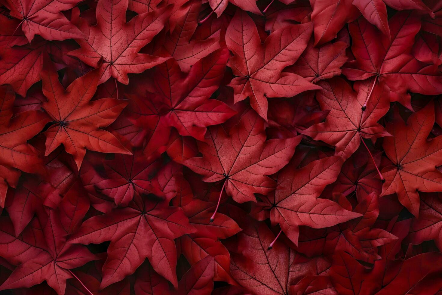 vino rojo otoño hojas textura, otoño naturaleza fondo, ai generativo foto