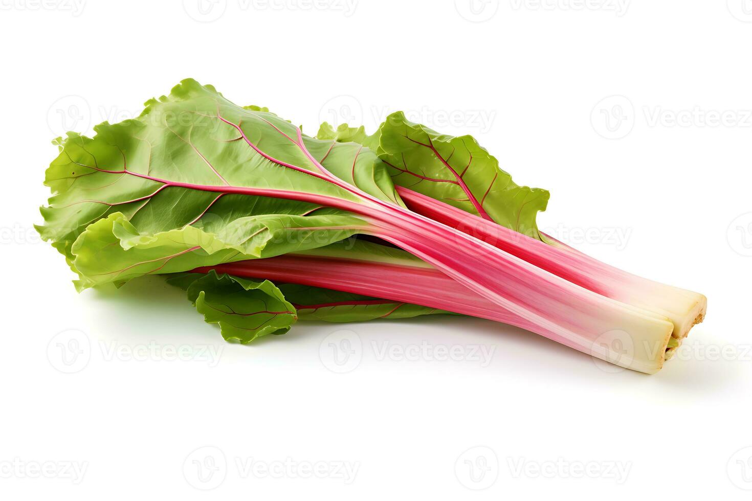 rhubarb vegetable isolated on white background AI Generated photo
