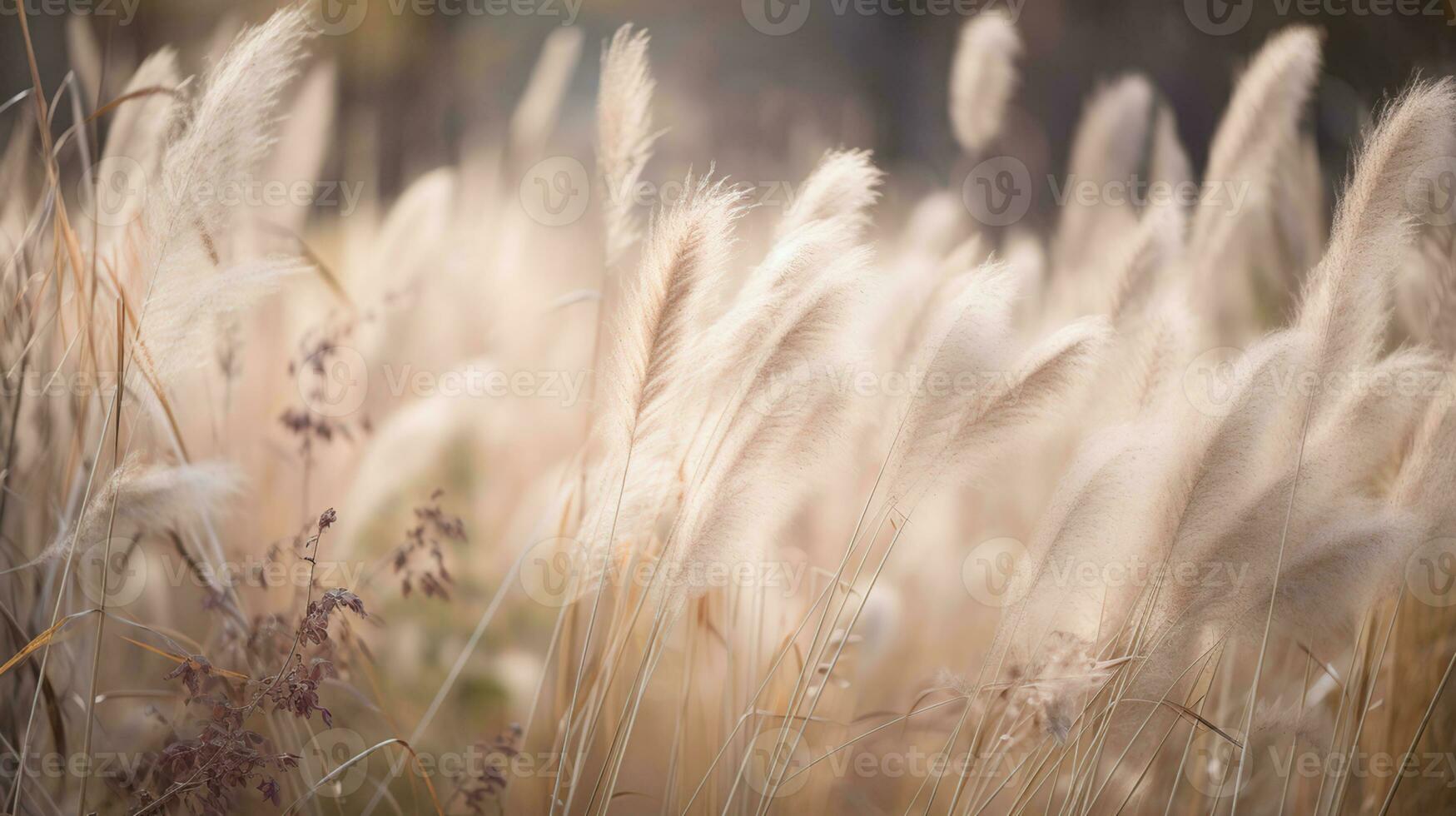 Pampas grass outdoor in light pastel colors. Dry reeds boho style, generative ai photo