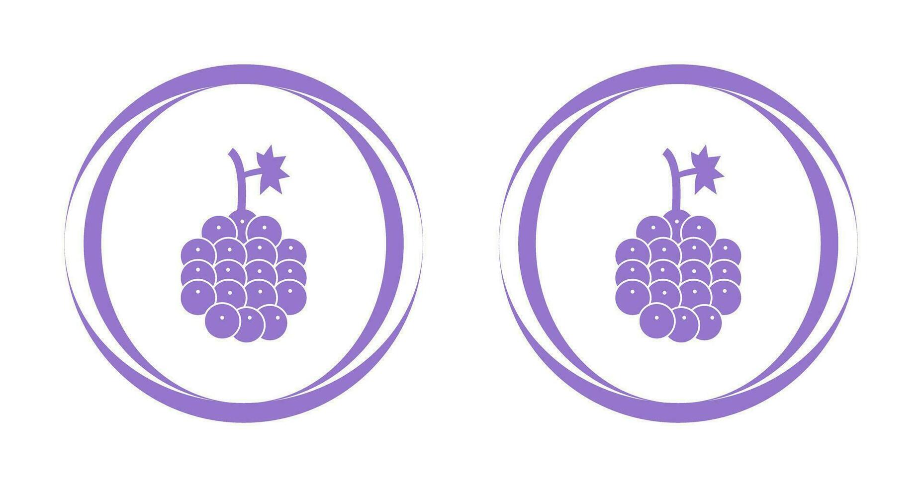 Raspberry Vector Icon