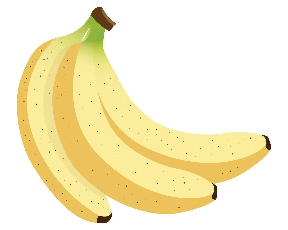 Bunch of Bananas Illustration vector