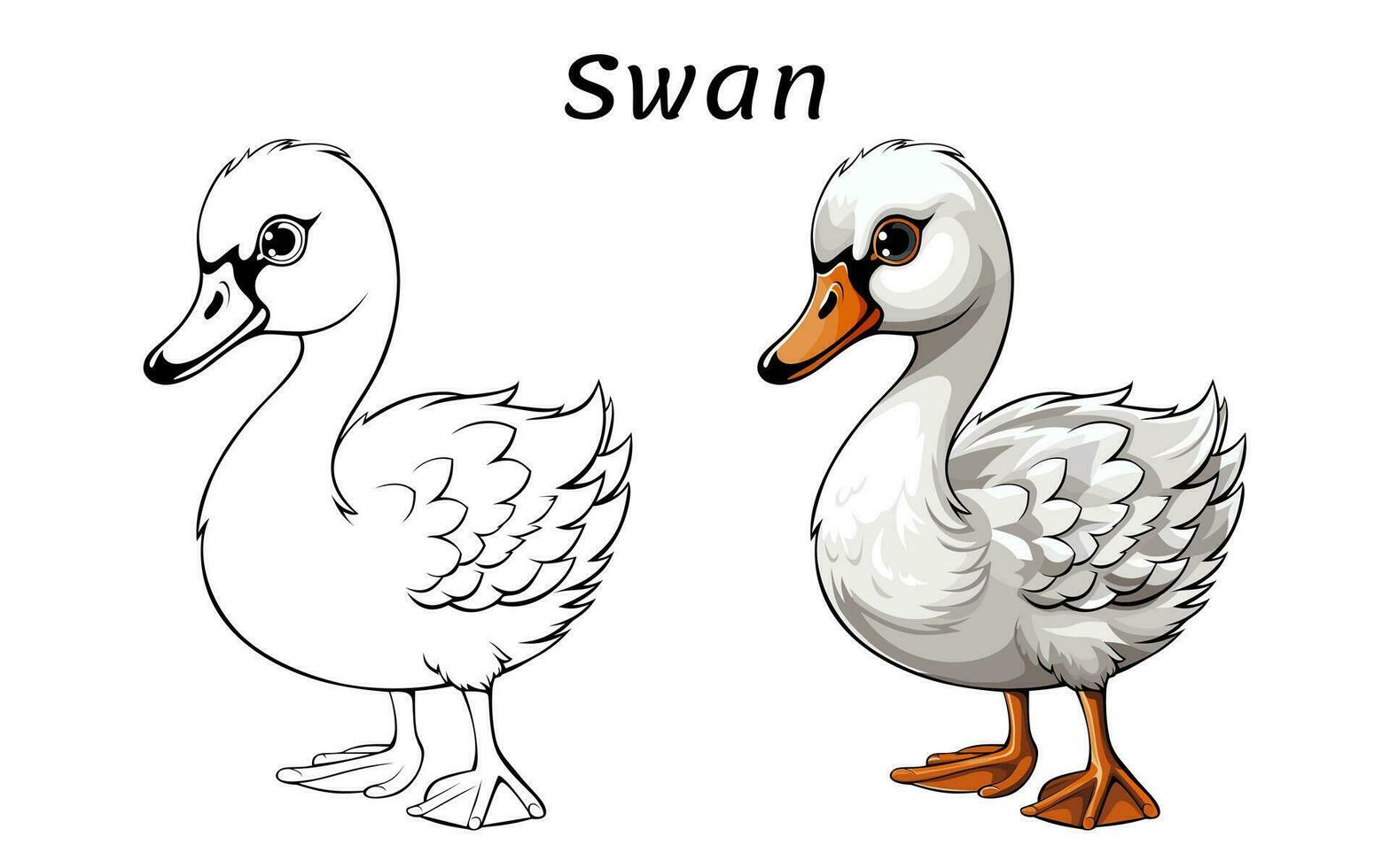 Cute Swan Animal Coloring Book Illustration Pro Vector