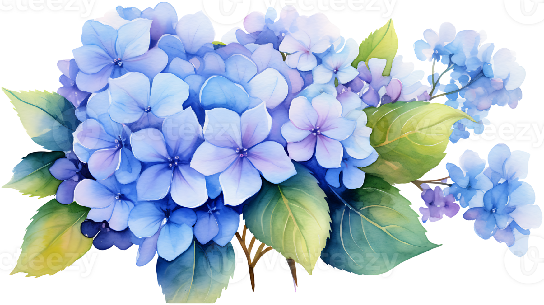 Watercolor hydrangea flowers isolated on transparent background. hydrangea flower png ai generated