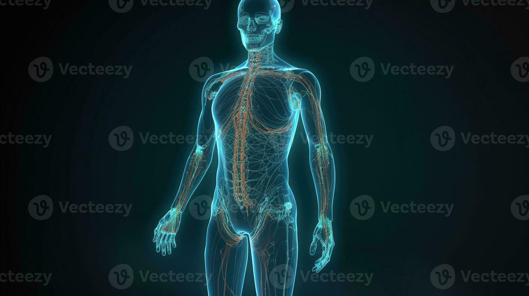 3d ilustrado humano cuerpo, ai generativo foto