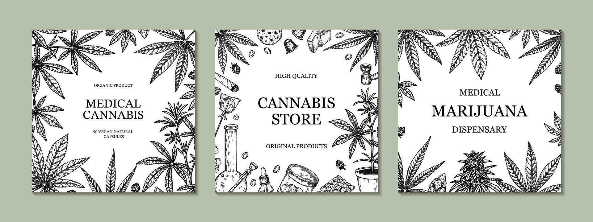 Cannabis square design for packaging, social media posts, store decoration, branding, certificates. Set of marijuana vector illustration in sketch style. Hemp engraved background