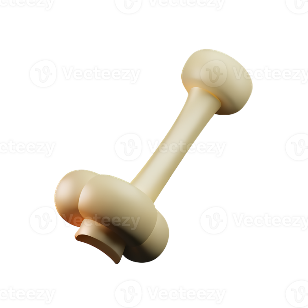 bone 3d rendering icon illustration png