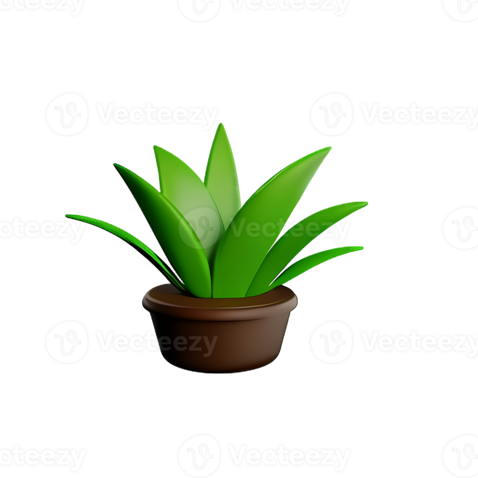 botanical 3d rendering icon illustration png