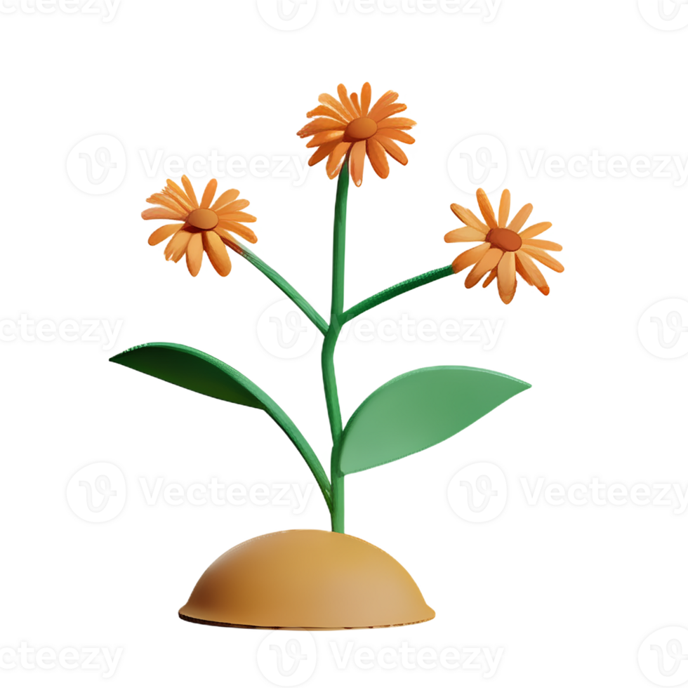 wild flowers 3d rendering icon illustration png