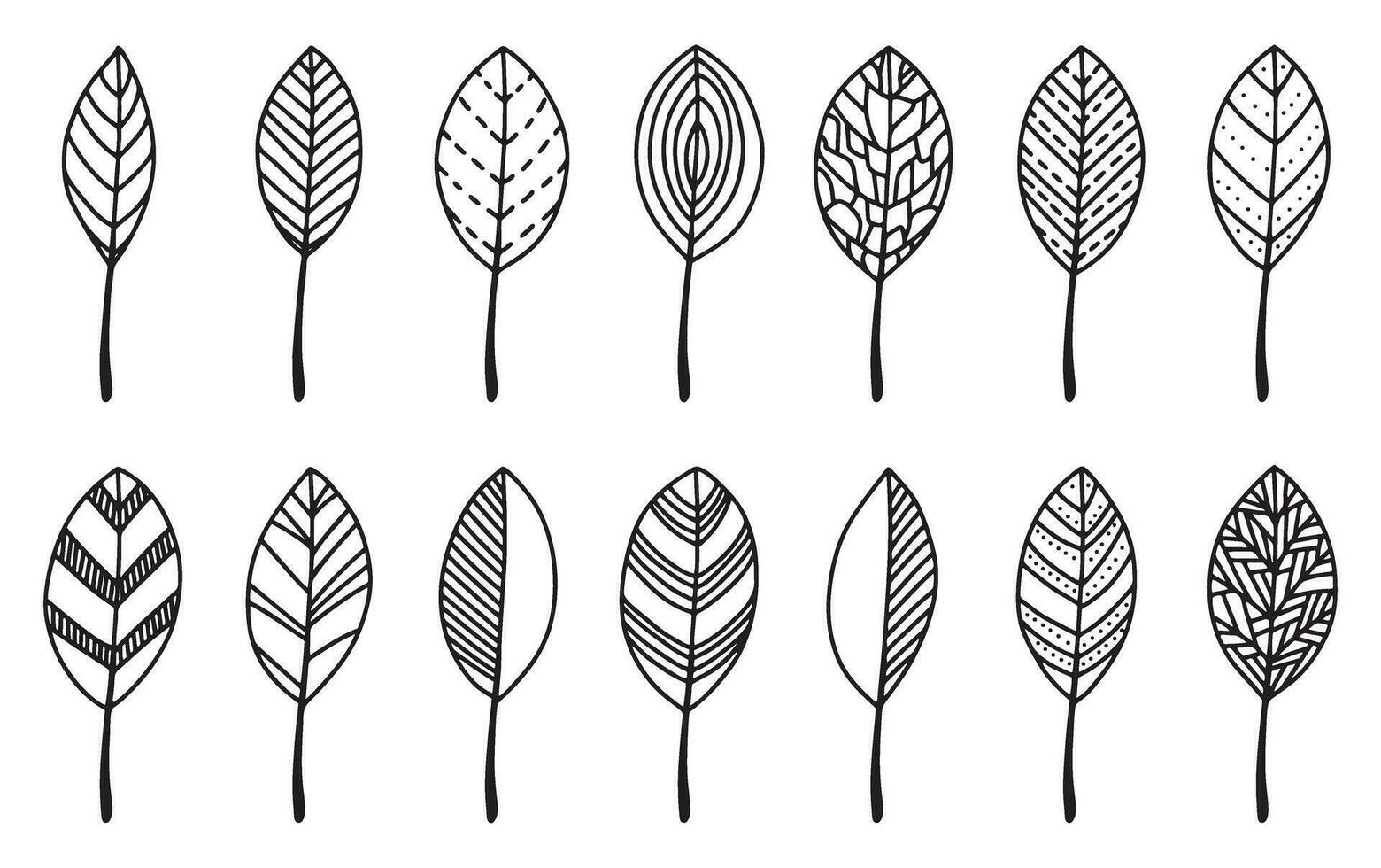 Set of vector doodle leaves. Black contour hand drawing of leaves for stickers, cards, decor. Vector illustration on white background
