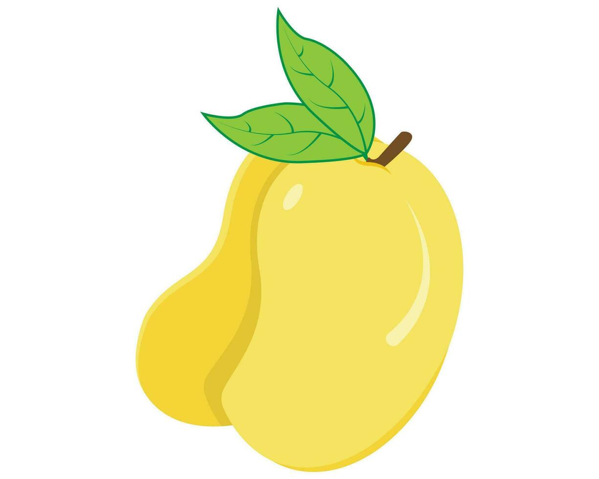 Illustration of Mangoes vector