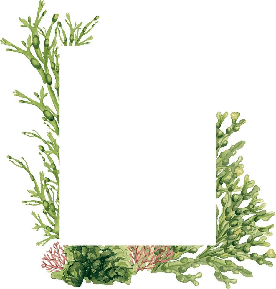 marco de verde mar plantas acuarela ilustración aislado en blanco. laminaria, mar ensalada, ulva, dulce mano dibujado. diseño elemento para paquete, etiqueta, publicidad, tarjeta, plantilla, marina colección vector