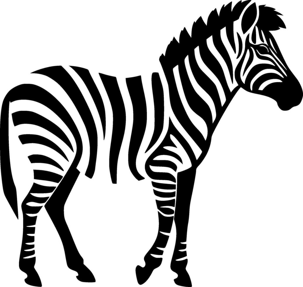 Zebra, Black and White Vector illustration