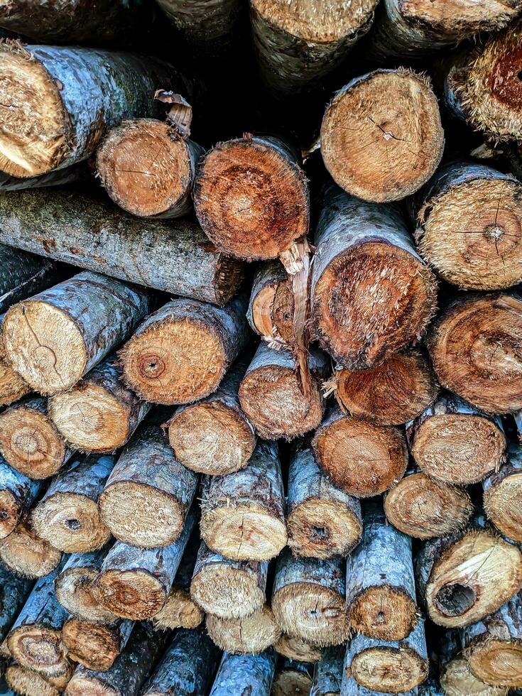 Simple Wood Pile Background Photo