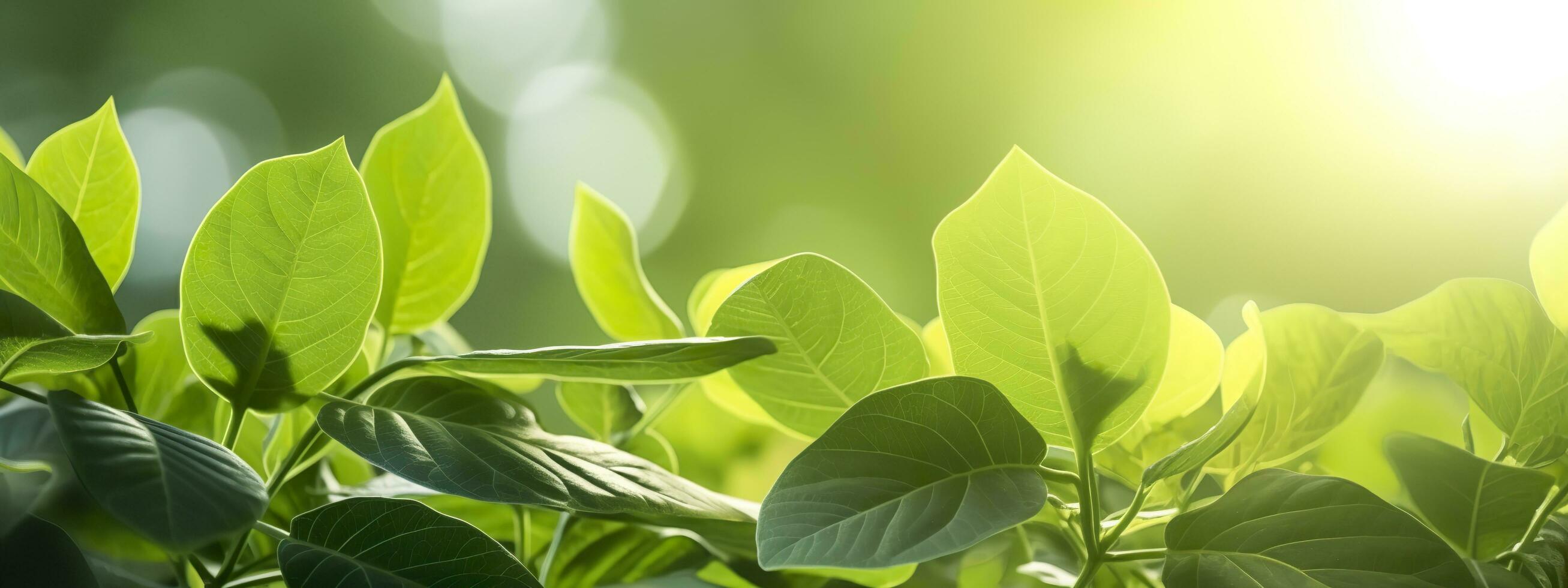 Close up of nature view green leaf on blurred greenery background. Generative AI photo