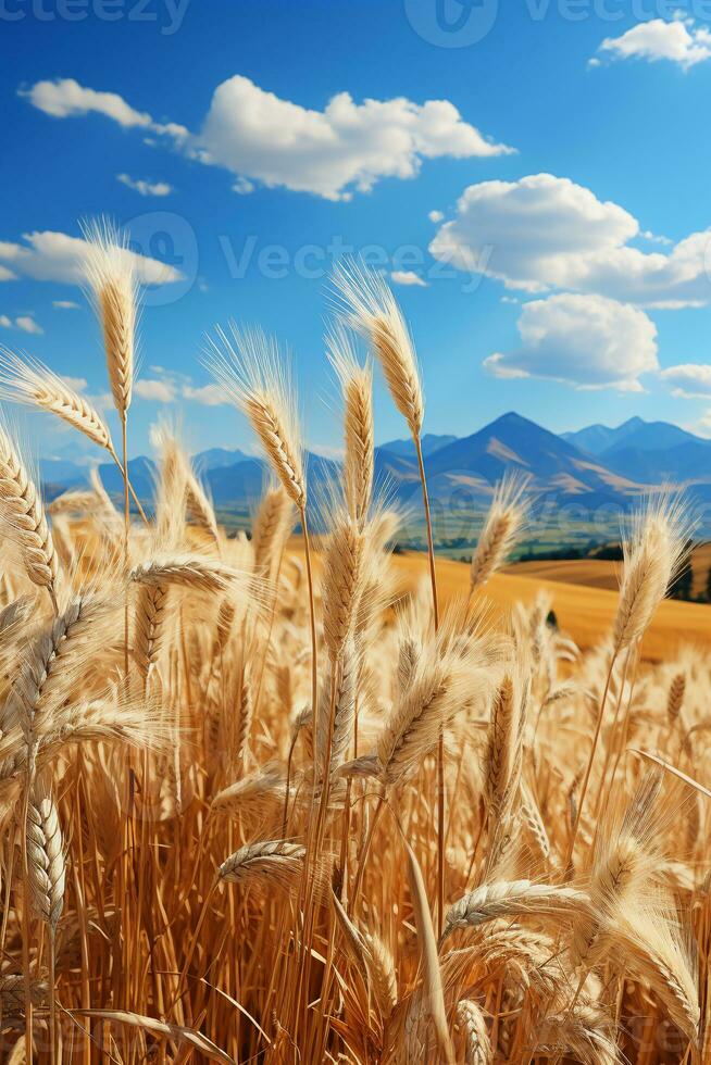 Clear sky, rolling mountains, golden wheat fields. AI generative photo