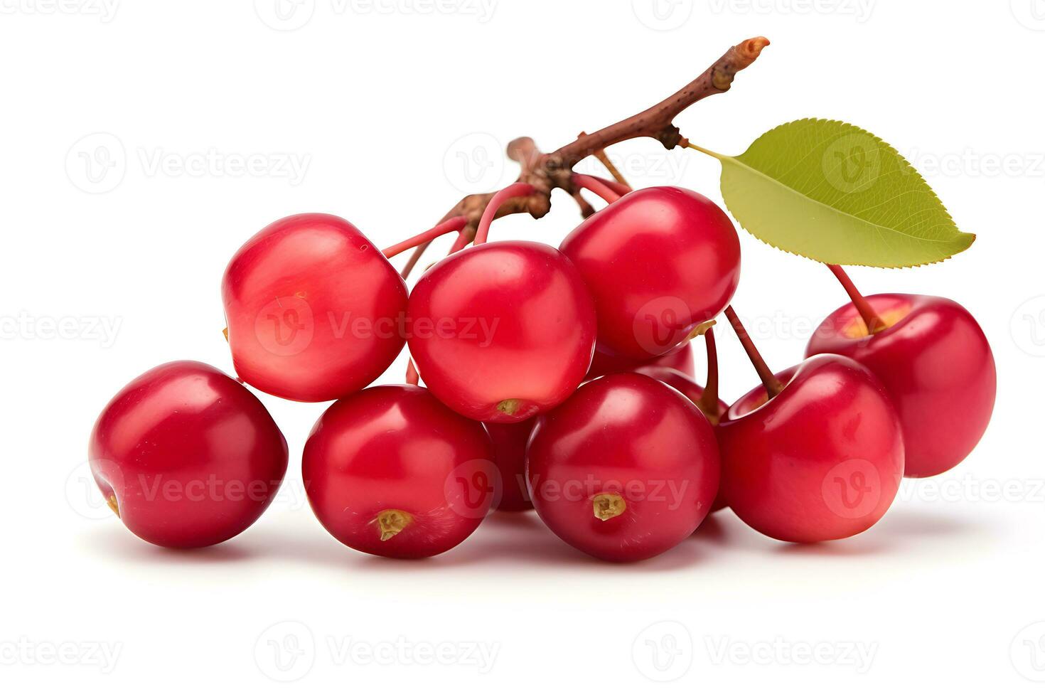 Cranberry isolated on white background AI Generated photo