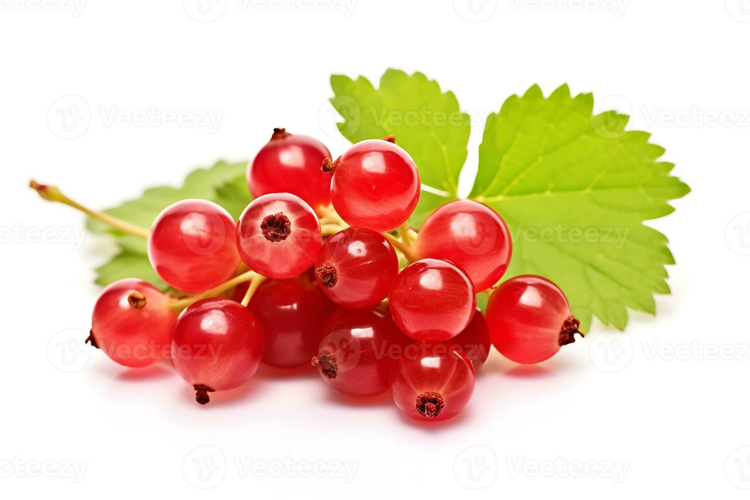 Currant isolated on white background AI Generated photo