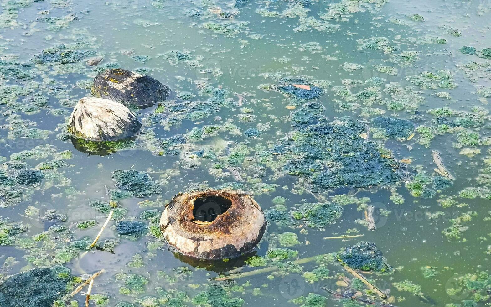 Dirty green polluted and garbage river in Puerto Escondido Mexico. photo