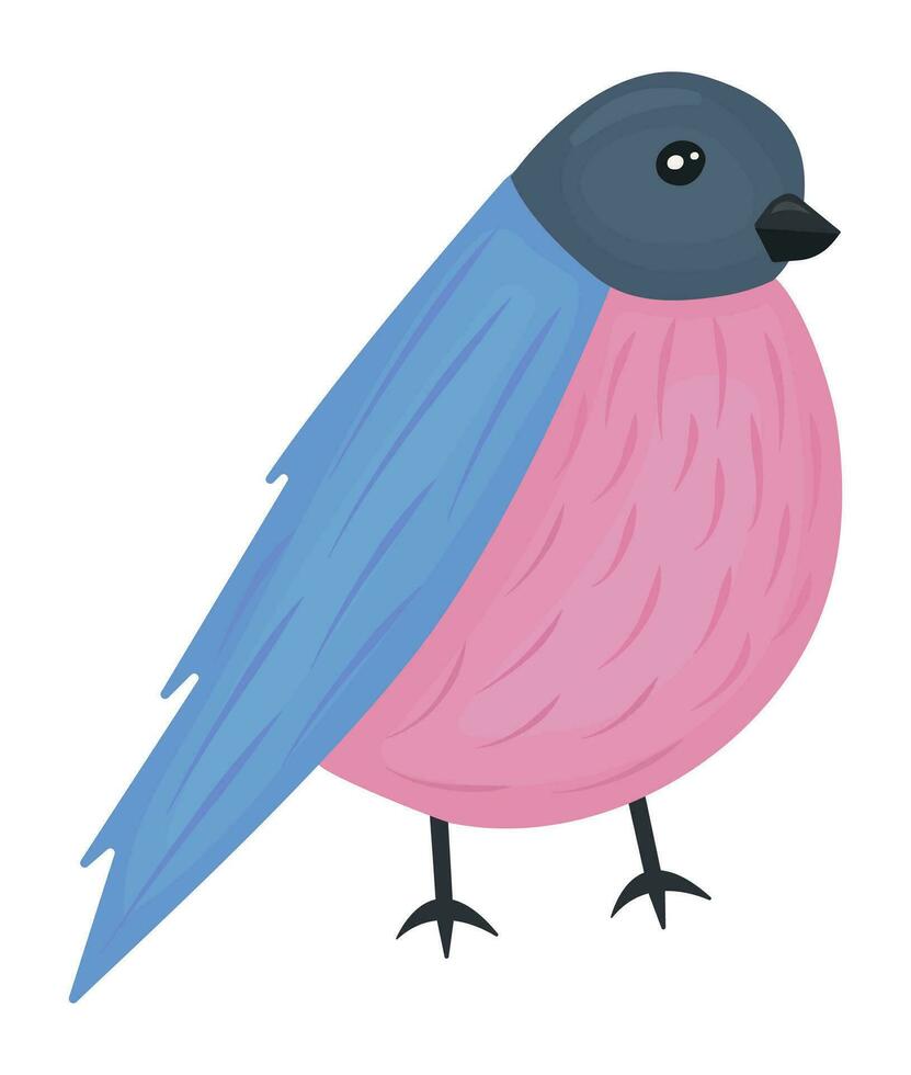 pájaro piñonero vector vistoso ilustración en rosado y azul sombras