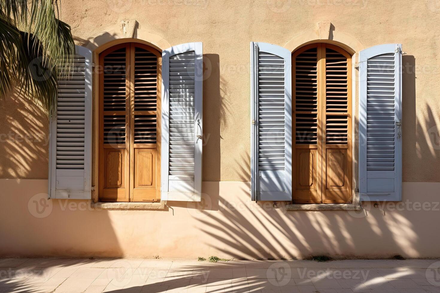 the shadow of a palm tree in the light of a window photo