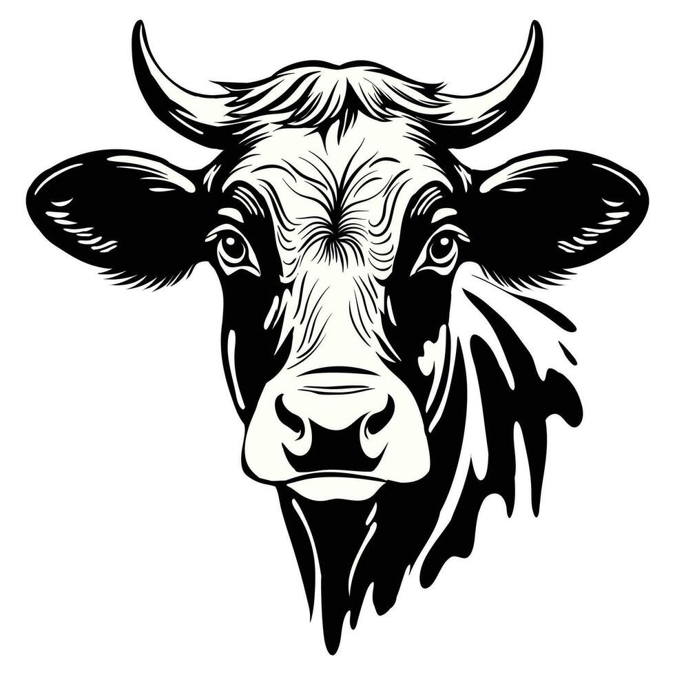 Cow's face, black and white image vector