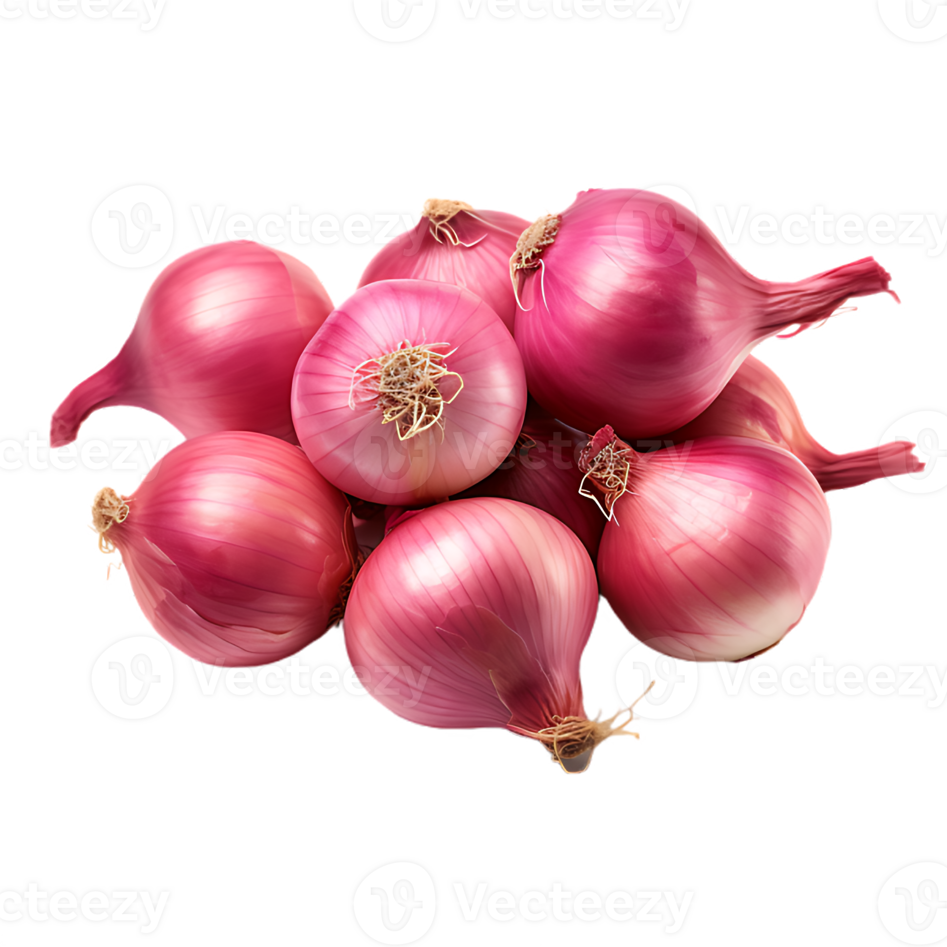 cluster of shallots 28828932 PNG