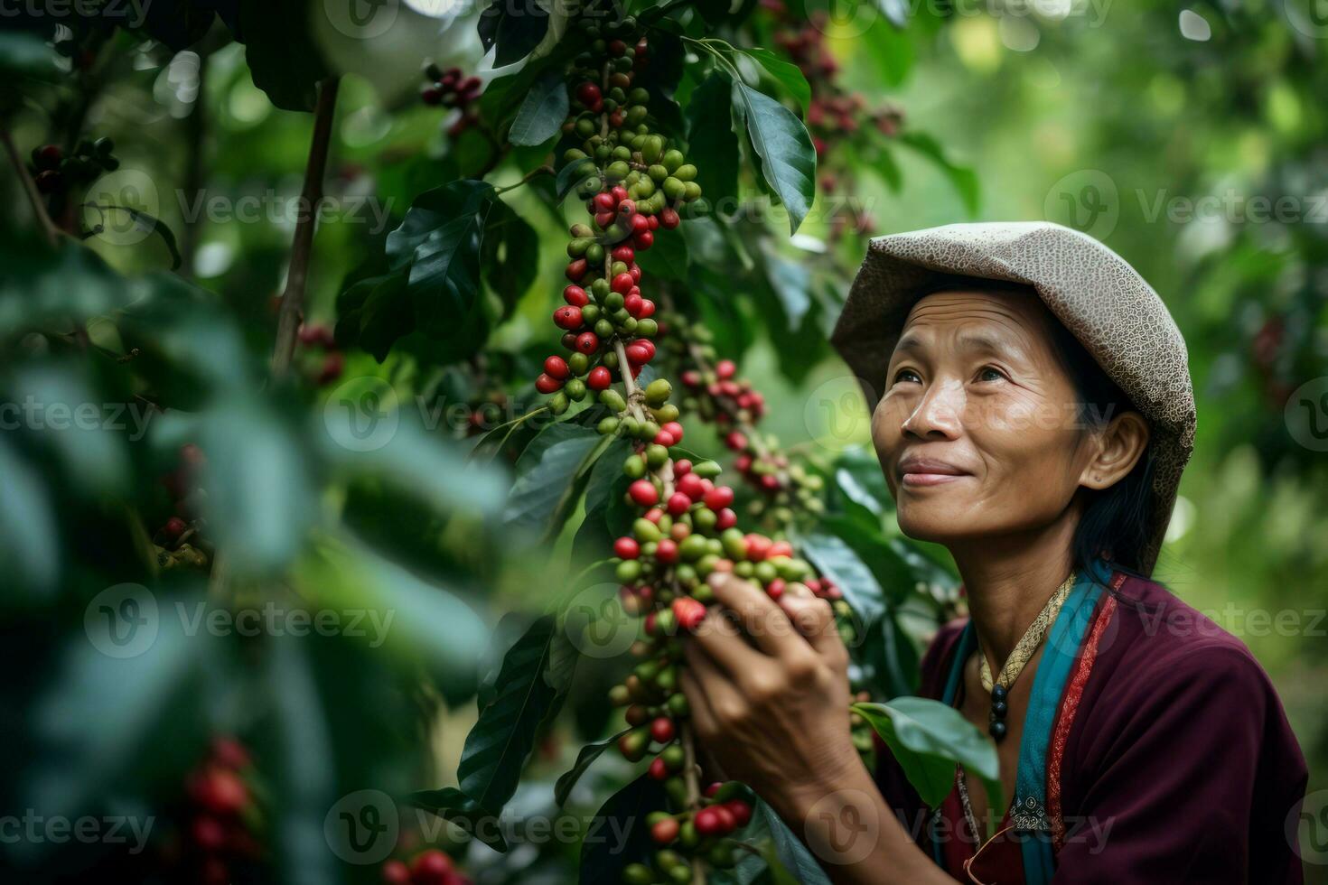 Woman collecting coffee working. Generate Ai photo