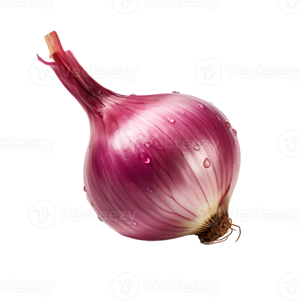 Bunch of shallots 27928331 PNG