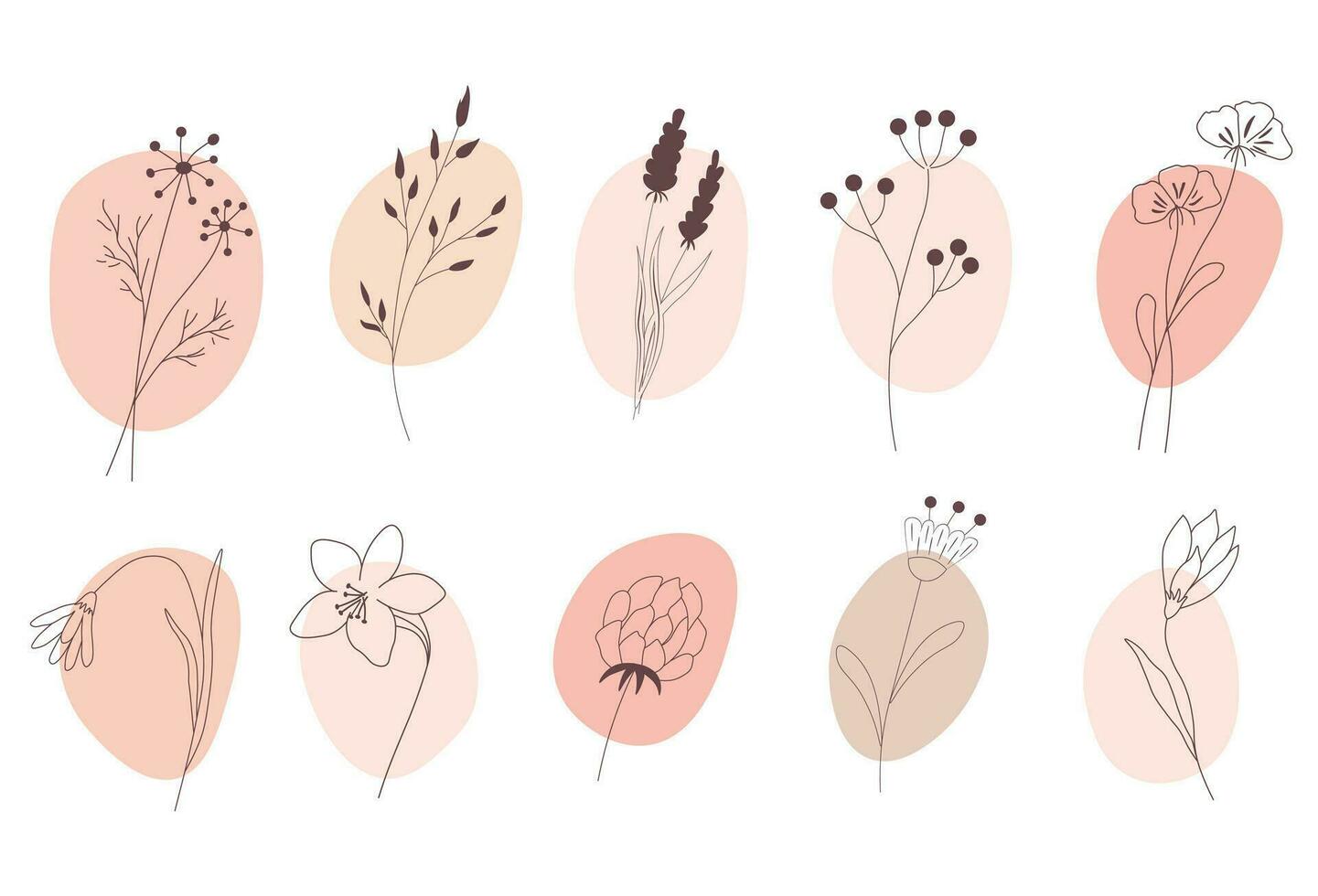 Branches of wild flowers. Vector illustration. In delicate cream pink flowers. Highlight Story Natural Hand Drawn Floral Logo.Isolated on a white background.
