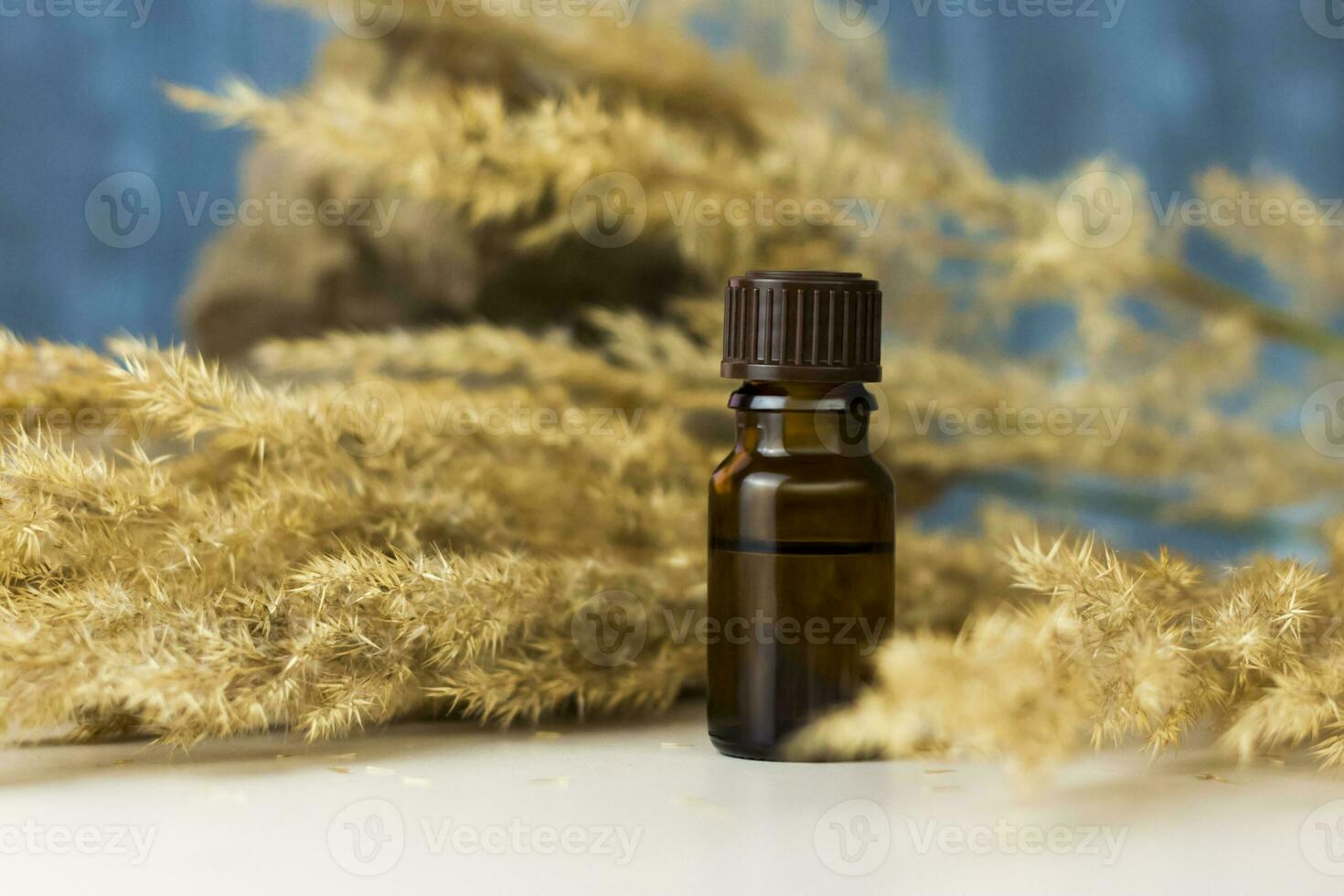 a bottle of cosmetic oil on a background of pampas grass on a colored background and a stone. Stylish appearance, layout, personality. Banner, a place for the text. photo