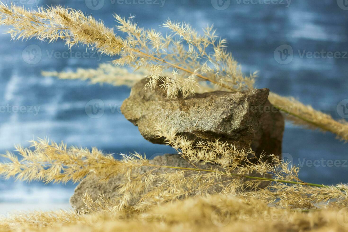 A stylish background for advertising products with fluffy dry stems and stones. Stylish appearance, layout, personality. Banner, a place for the text. photo