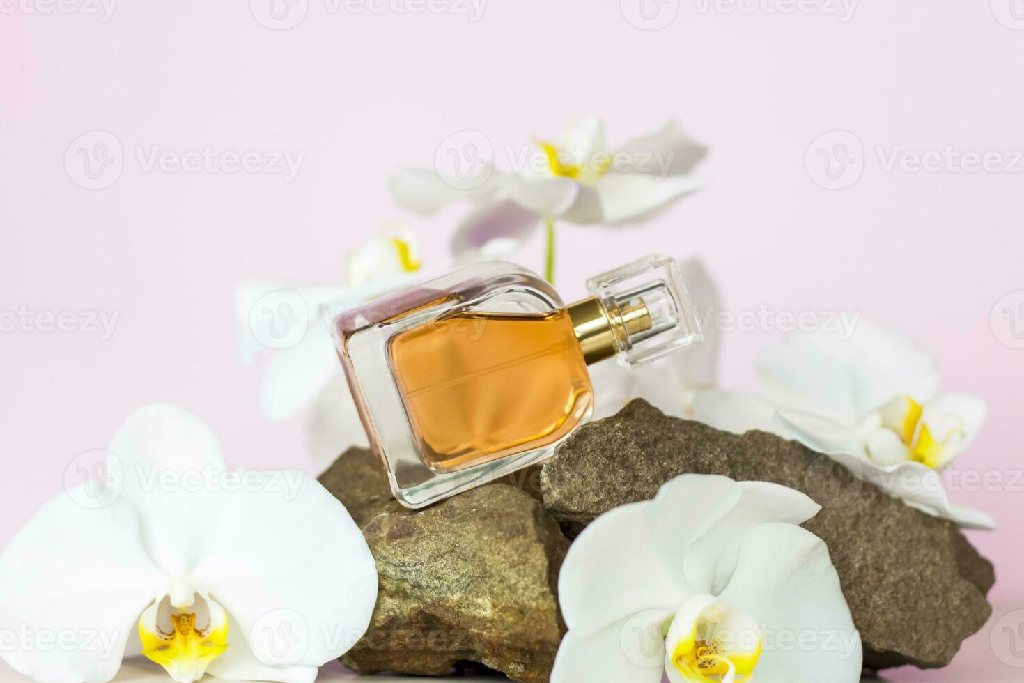 A perfume bottle stands on a stone against a background of beautiful orchids. Stylish appearance, layout, personality. Banner, a place for the text. photo