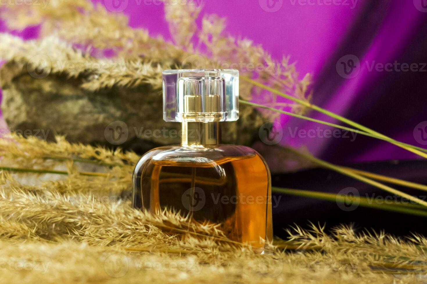 A perfume bottle on a background of Pampas grass on a colored background and a stone. a fluffy twig. Stylish appearance, layout, personality. Banner, a place for the text. photo